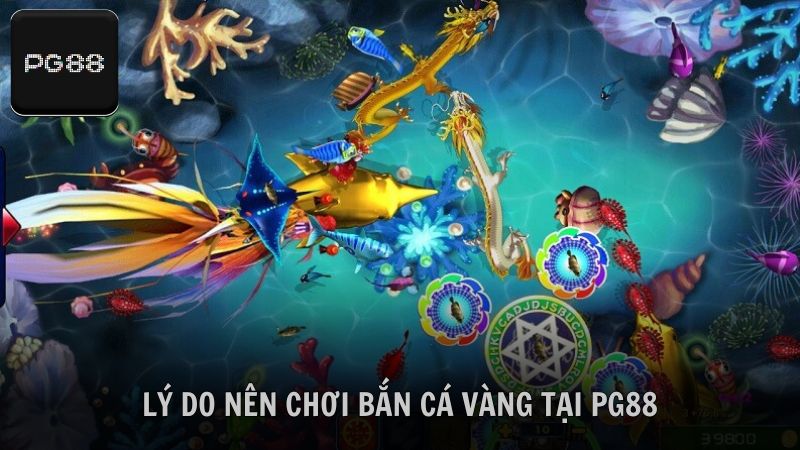 Khám phá lý do nên chơi bắn cá tại PG88