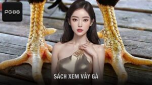 Sách xem vảy gà giúp lựa chọn thần kê tốt chuẩn xác nhất