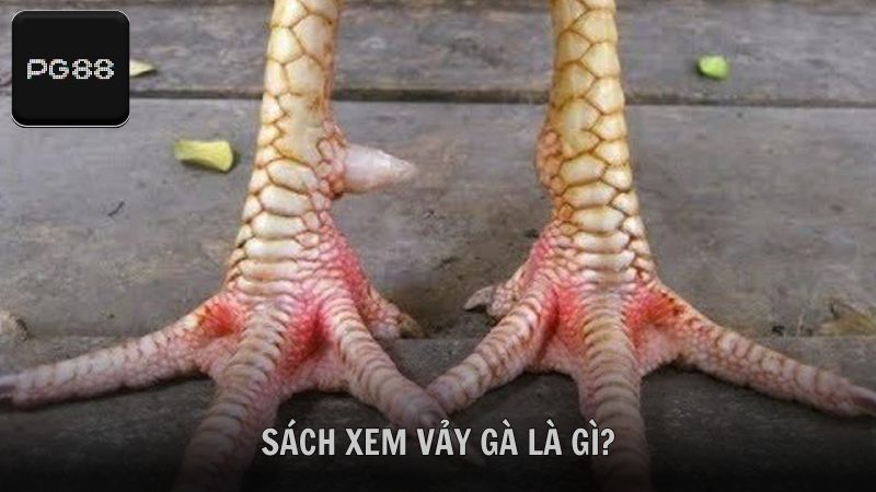 Tìm hiểu về sách xem vảy gà là gì?