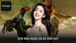 Cách xem màu mạng gà đá hôm nay theo ngũ hành phong thủy