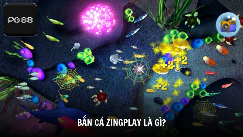 Bắn cá Zingplay là gì?