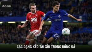 Phân loại các dạng kèo tài xỉu trong bóng đá
