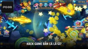 Hack game bắn cá là gì?