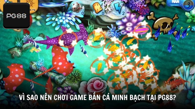 Vì sao nên chơi game bắn cá minh bạch tại PG88?