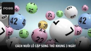 Hướng dẫn chi tiết cách nuôi lô cặp song thủ khung 3 ngày