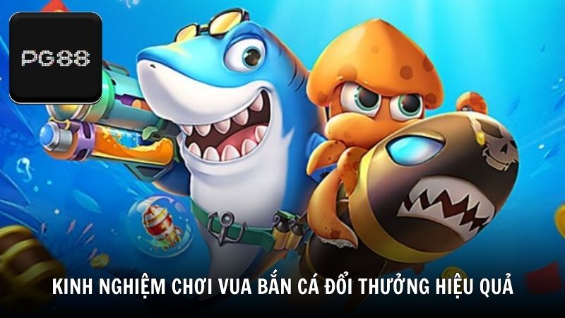 Kinh nghiệm chơi Vua bắn cá đổi thưởng hiệu quả