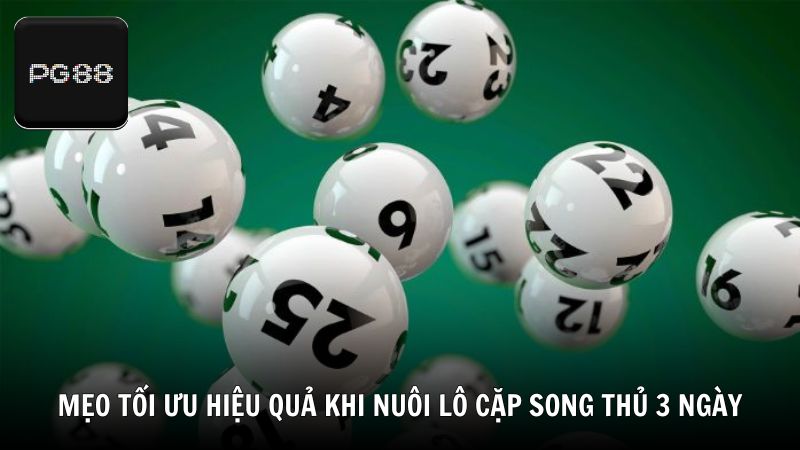 Mẹo tối ưu hiệu quả khi nuôi lô cặp song thủ khung 3 ngày tại PG88