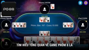 Tìm hiểu tổng quan về game phỏm 8 lá