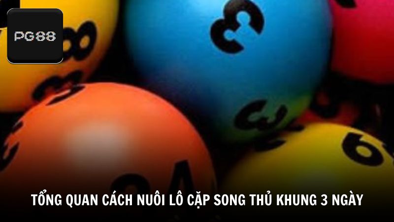 Tổng quan về cách nuôi lô cặp song thủ khung 3 ngày