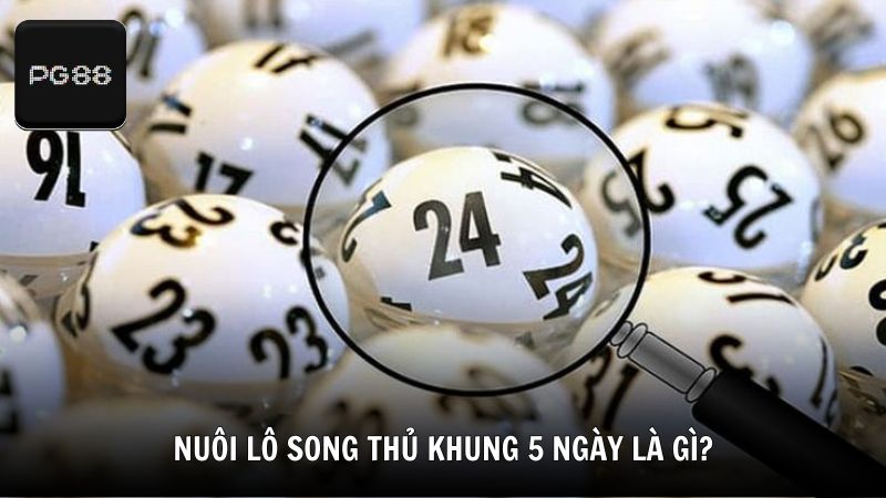 Nuôi lô song thủ khung 5 ngày là gì?