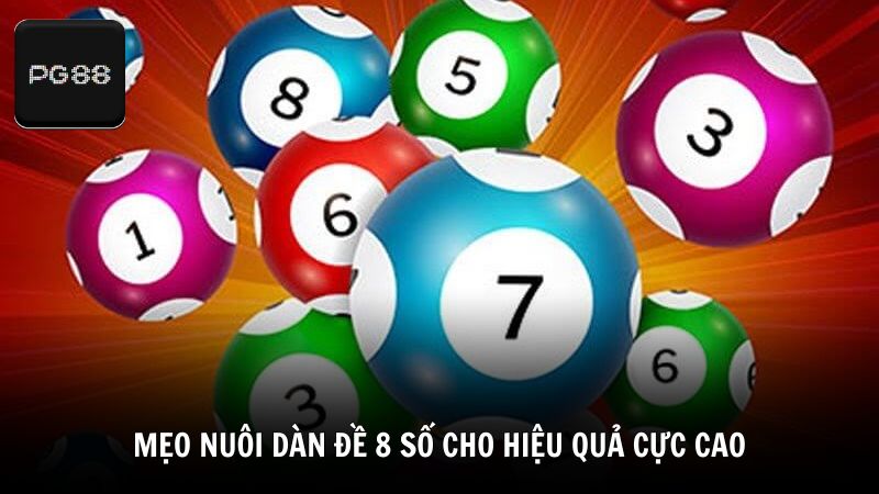 Mẹo nuôi dàn đề 8 số cho hiệu quả cực cao